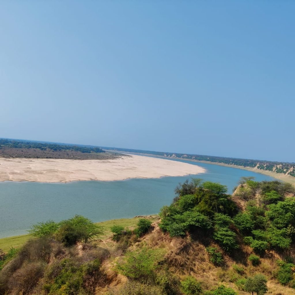 WhatsApp Image 2021-02-26 at 3.35.54 PM