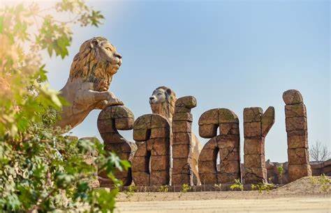Lion Safari Etawah